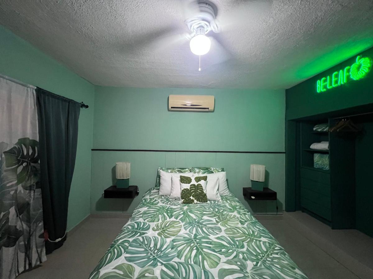 Dici Co-Living Housing Cabo San Lucas Bed & Breakfast Dış mekan fotoğraf