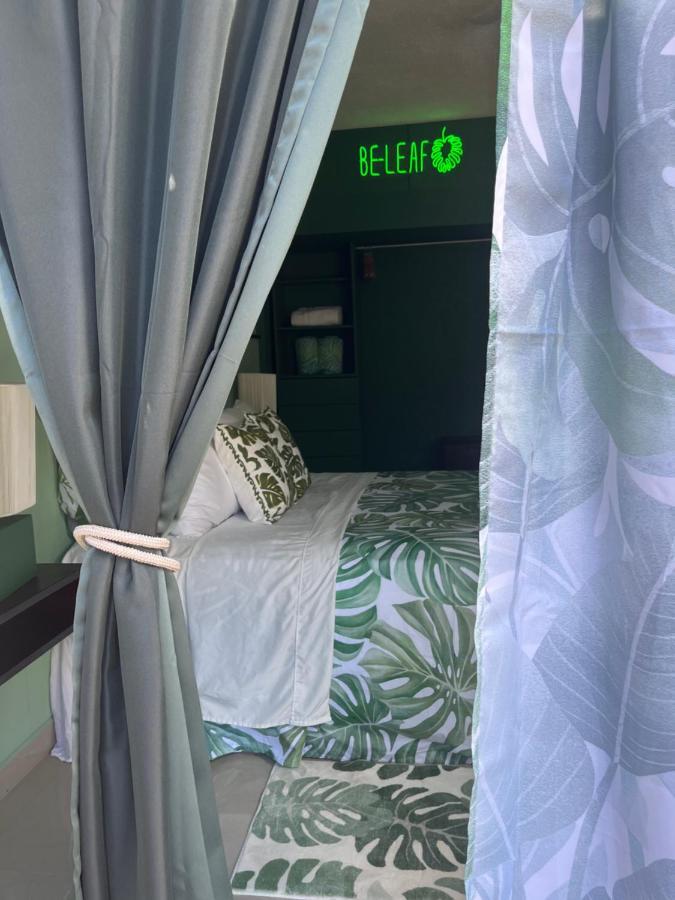 Dici Co-Living Housing Cabo San Lucas Bed & Breakfast Dış mekan fotoğraf