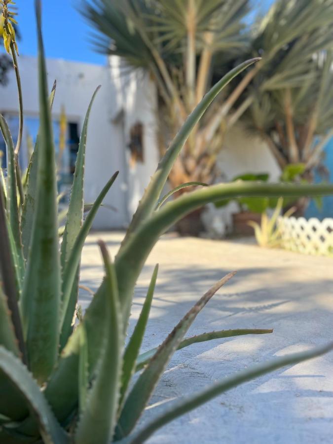 Dici Co-Living Housing Cabo San Lucas Bed & Breakfast Dış mekan fotoğraf