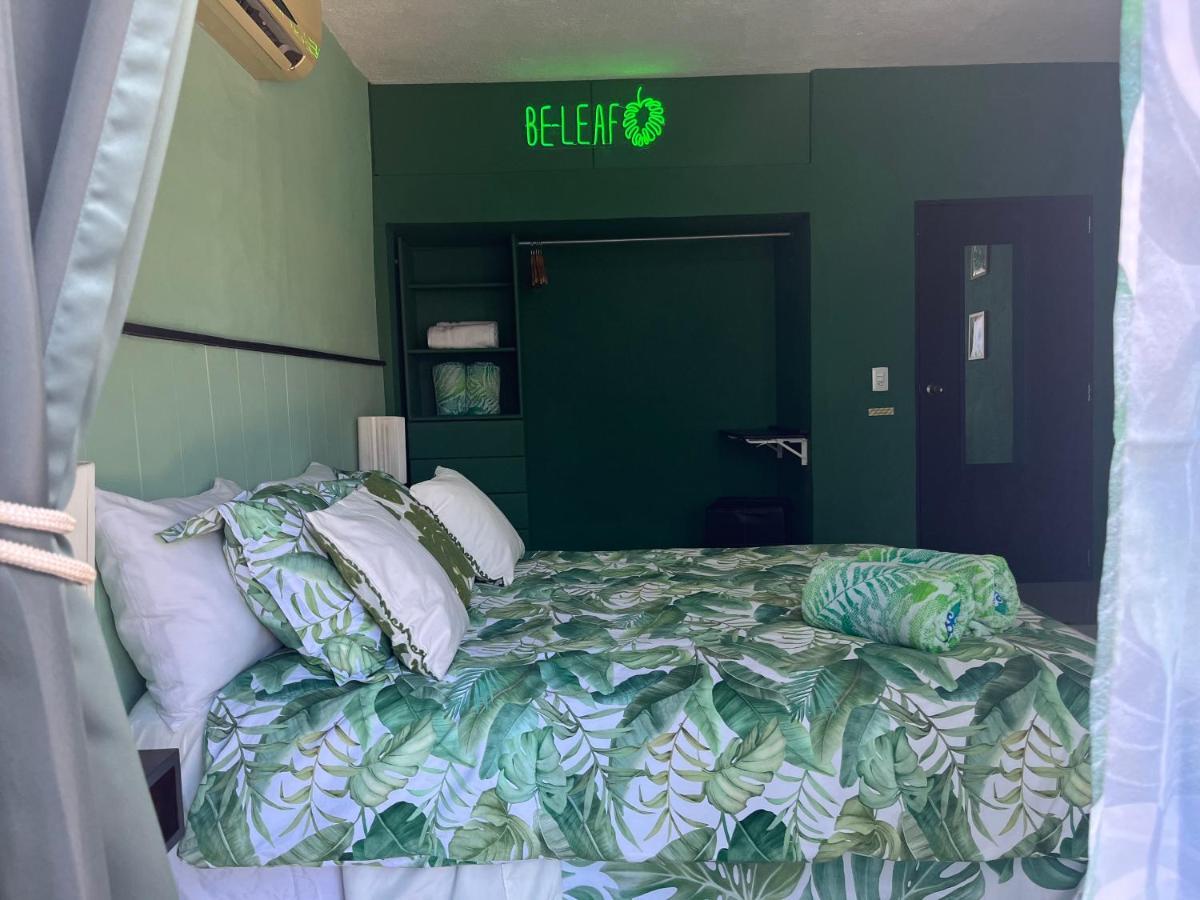Dici Co-Living Housing Cabo San Lucas Bed & Breakfast Dış mekan fotoğraf
