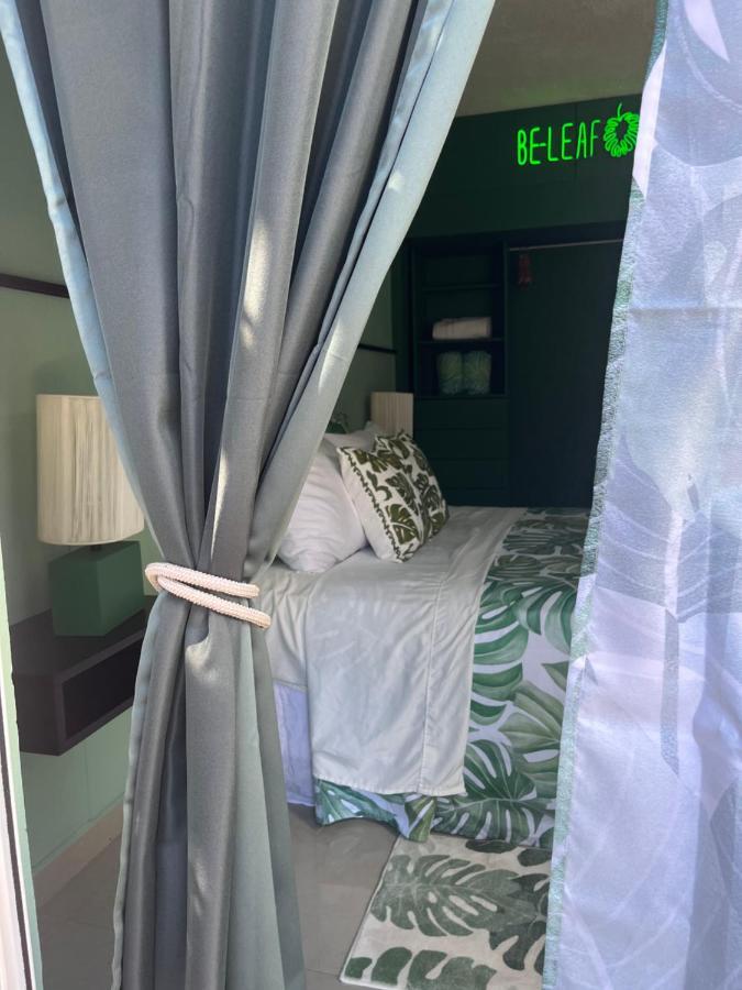 Dici Co-Living Housing Cabo San Lucas Bed & Breakfast Dış mekan fotoğraf