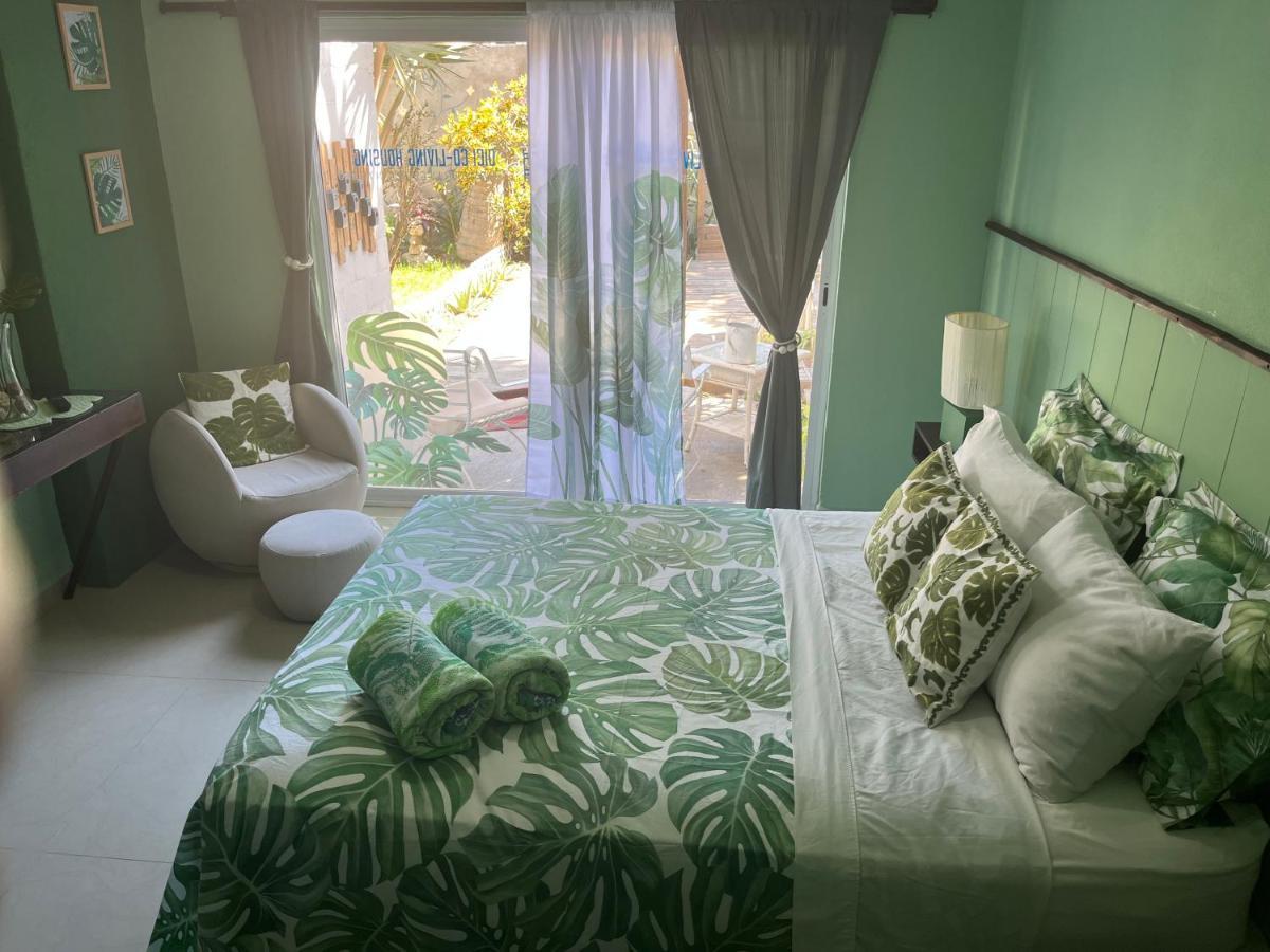 Dici Co-Living Housing Cabo San Lucas Bed & Breakfast Dış mekan fotoğraf