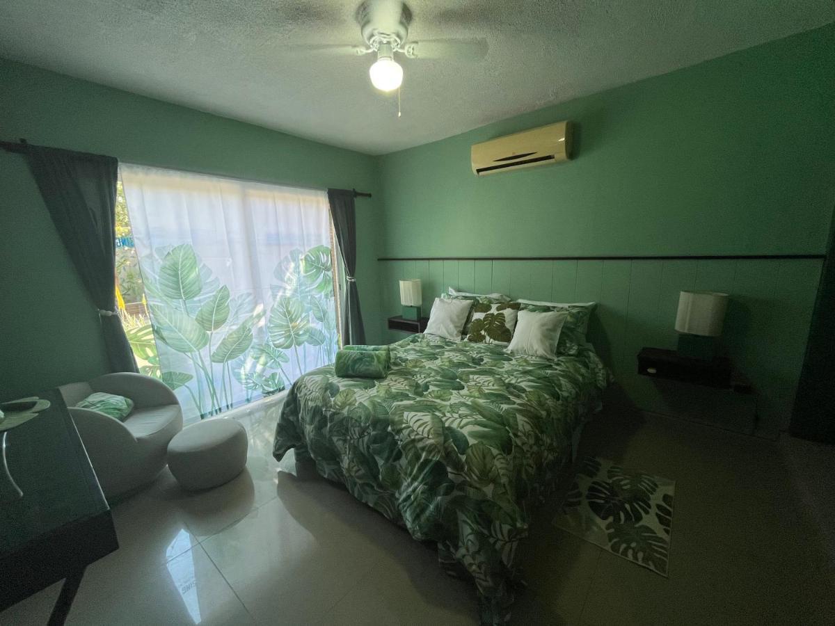 Dici Co-Living Housing Cabo San Lucas Bed & Breakfast Dış mekan fotoğraf