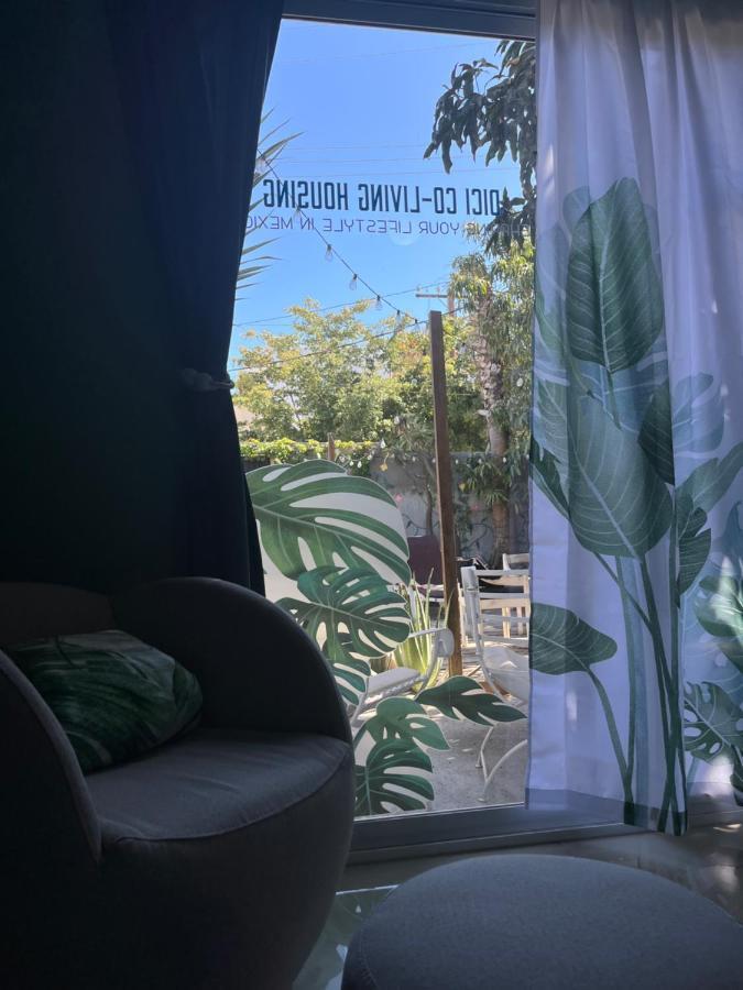 Dici Co-Living Housing Cabo San Lucas Bed & Breakfast Dış mekan fotoğraf