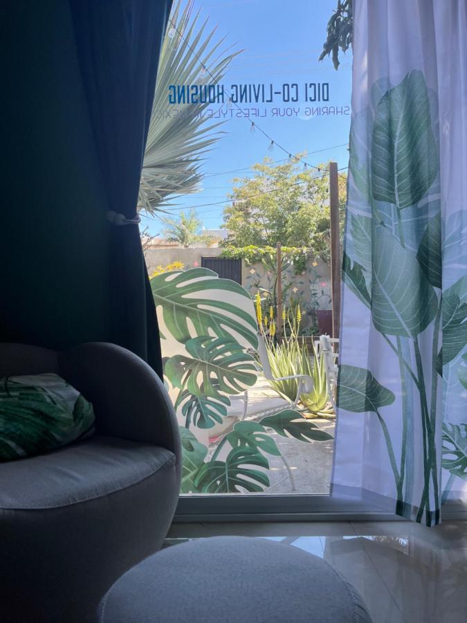 Dici Co-Living Housing Cabo San Lucas Bed & Breakfast Dış mekan fotoğraf
