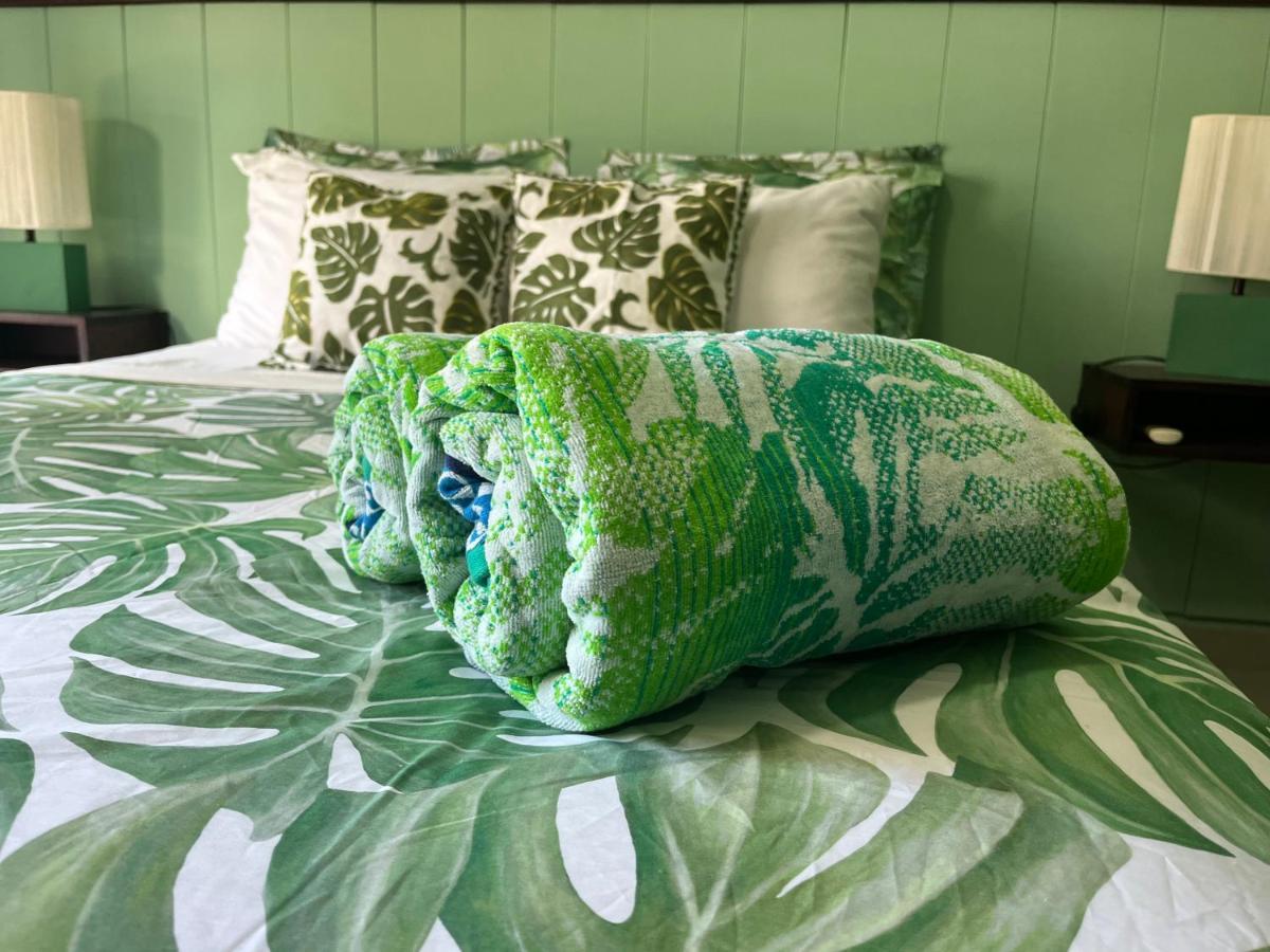 Dici Co-Living Housing Cabo San Lucas Bed & Breakfast Dış mekan fotoğraf